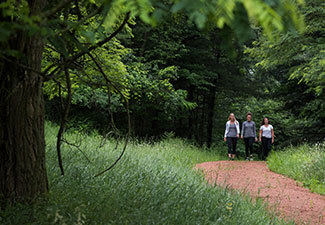 Guided Hike