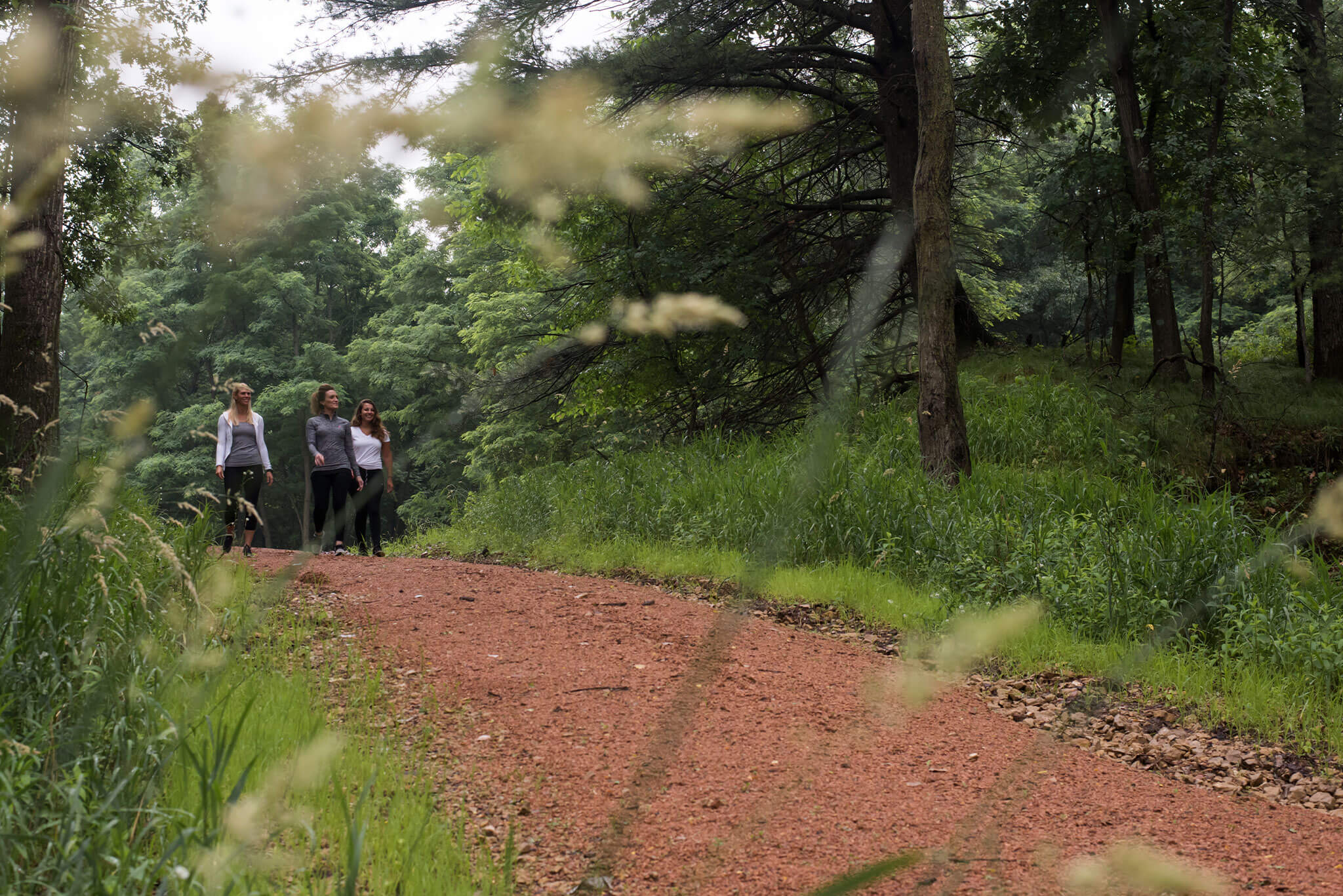 Hiking Trail