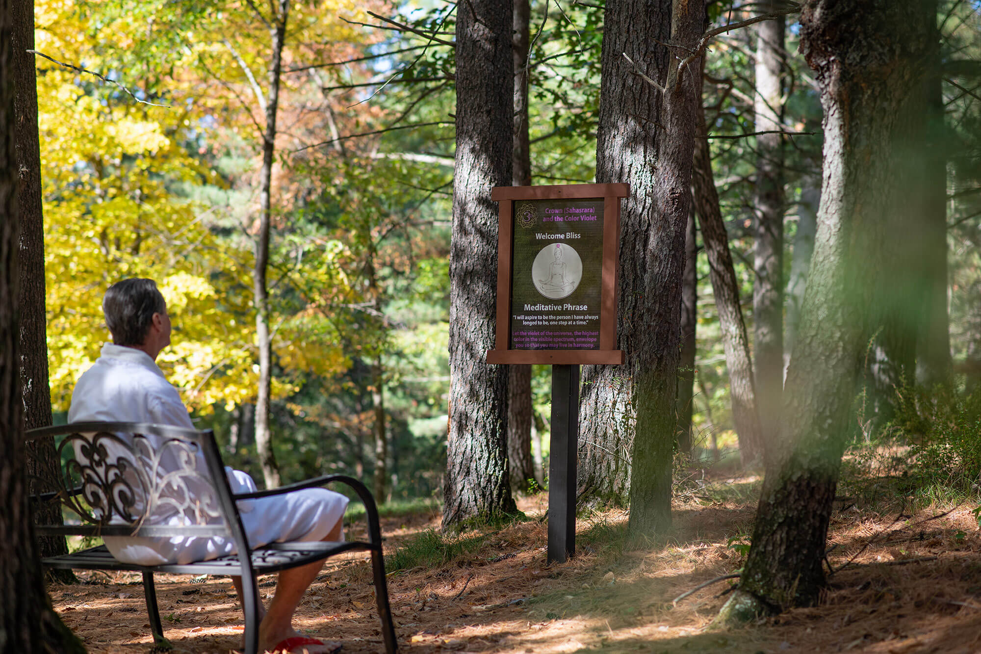 Meditation Trail