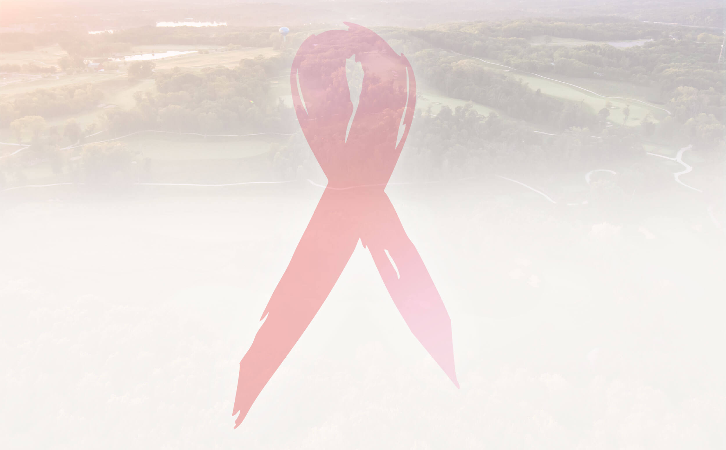 Breast Cancer Recovery banner image - Thank You for Your Incredible Support in 2025