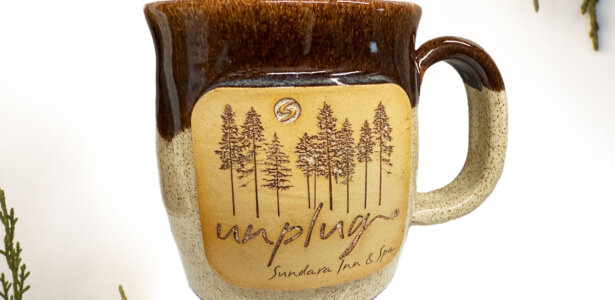 Unplug Brown Mug