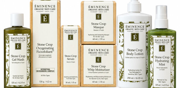 Rooted In Radiance-Stone Crop